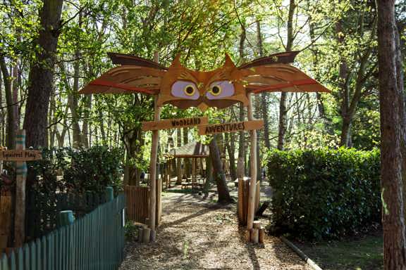 Woodland Adventures
