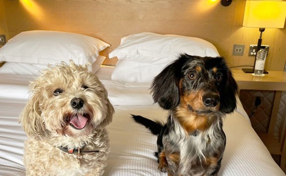 0F6349f70f800ea62fc1094b07f0566fcfafe183