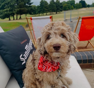 IG @Hey Mr Cooper